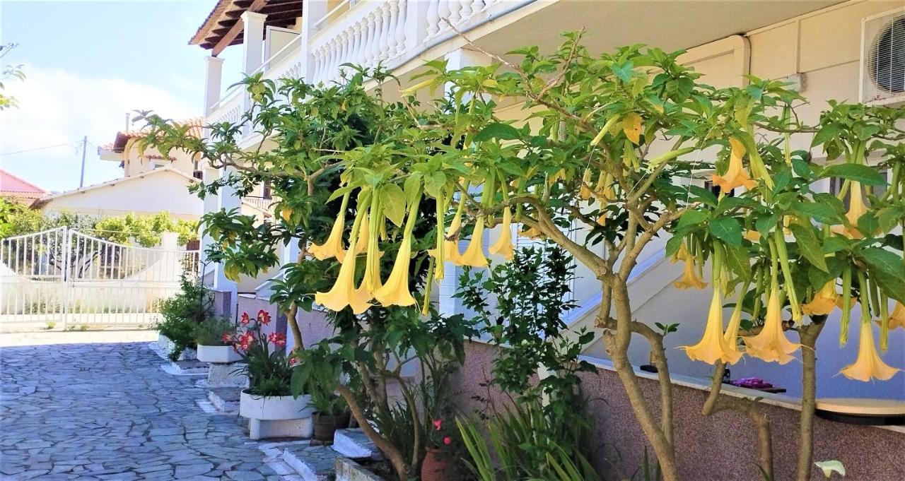 Eleni Apartments Sant George Beach Agios Georgios  Exteriér fotografie